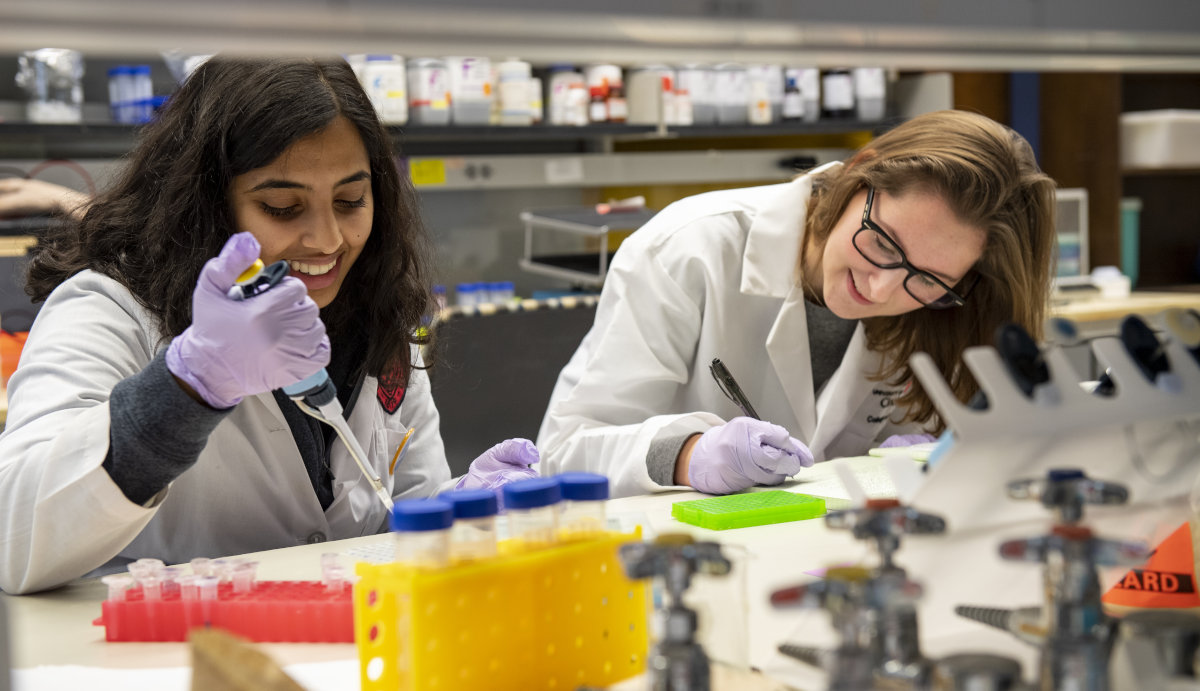 Image of SURF program students