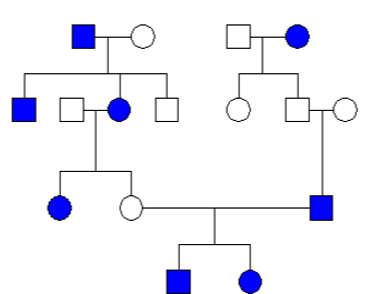 GELCC Study