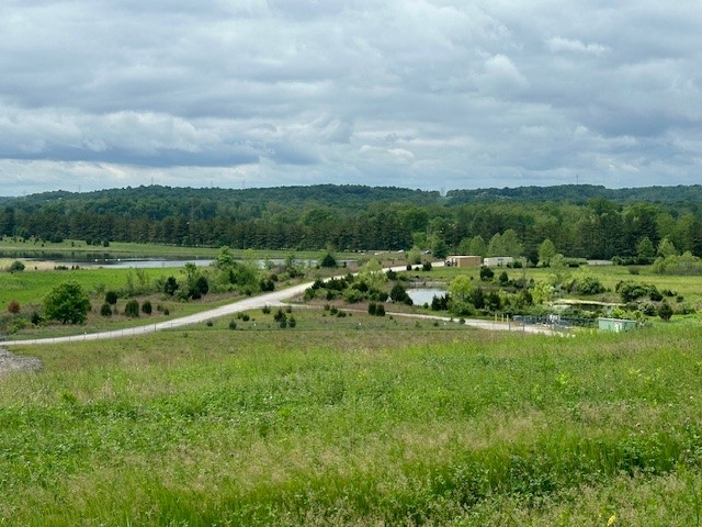grounds at fernald preserve