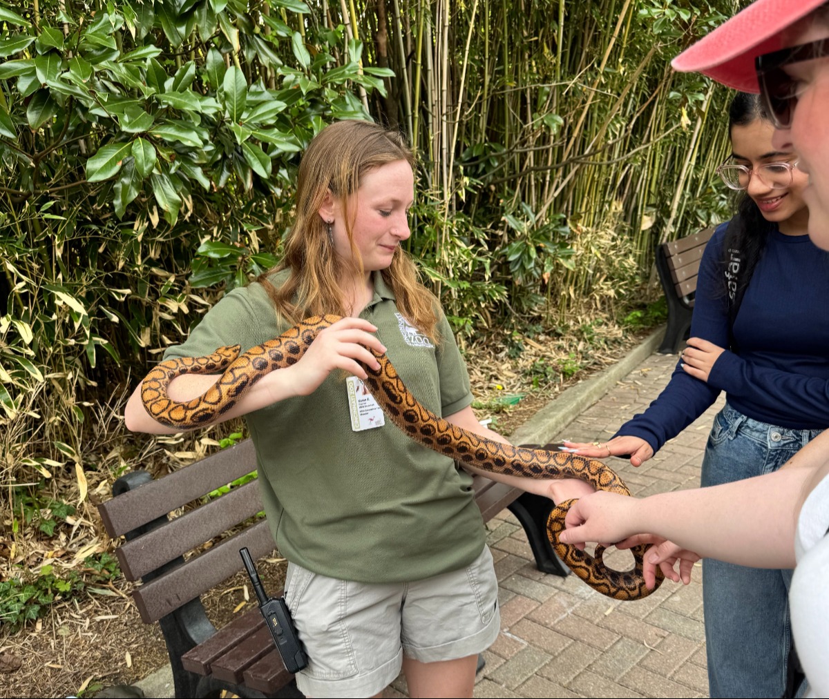 Zookeeper holding a snake and students gathering around