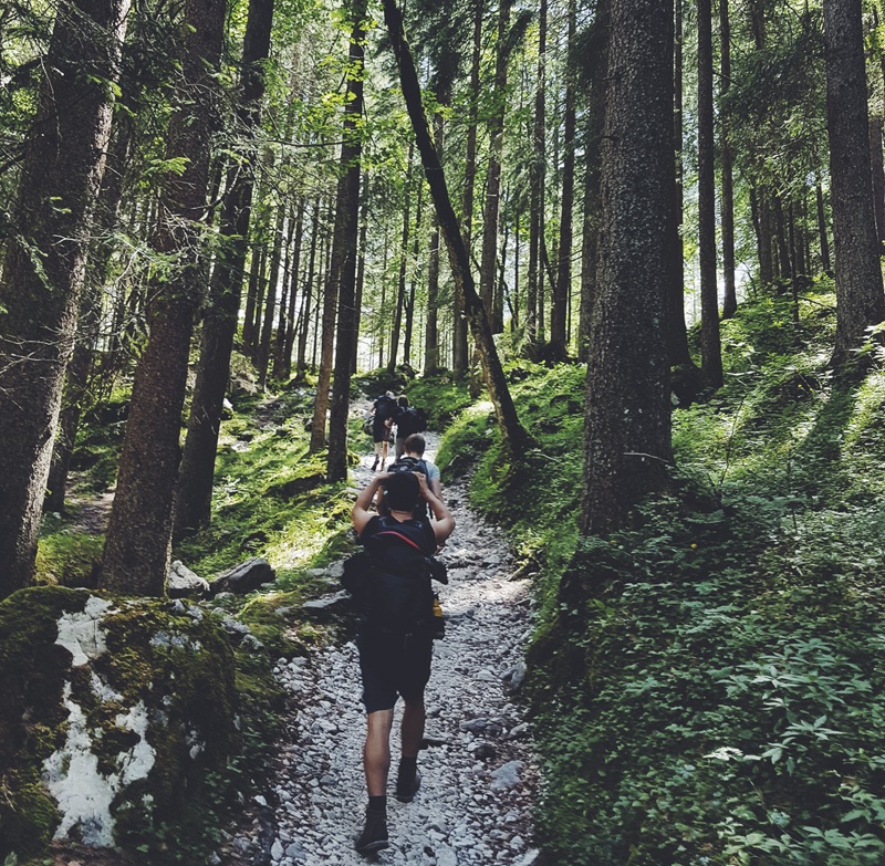 people hiking on a trail in a wooded area