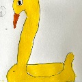 a duck in water