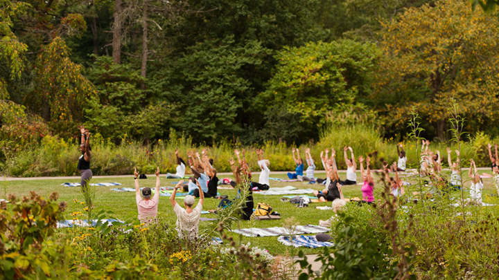 A group of people sitting on yoga mats with their hands in the air doing yoga in the park