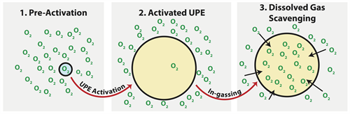 Adv Figure 2