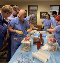 residents and teachers practicing surgery